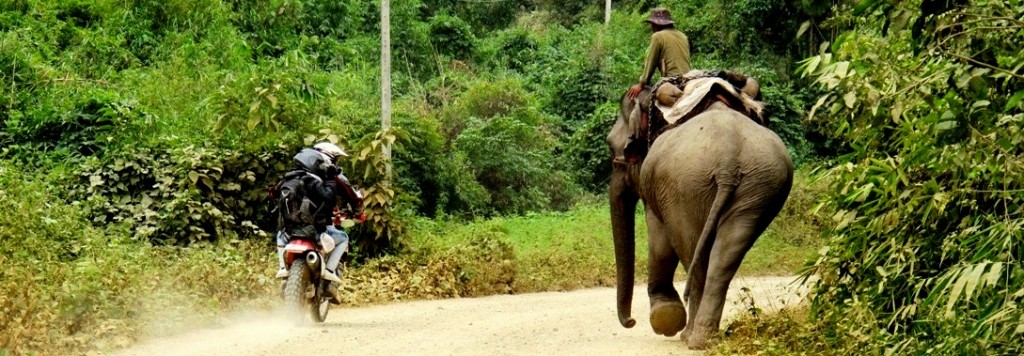 Passing an Elephant 