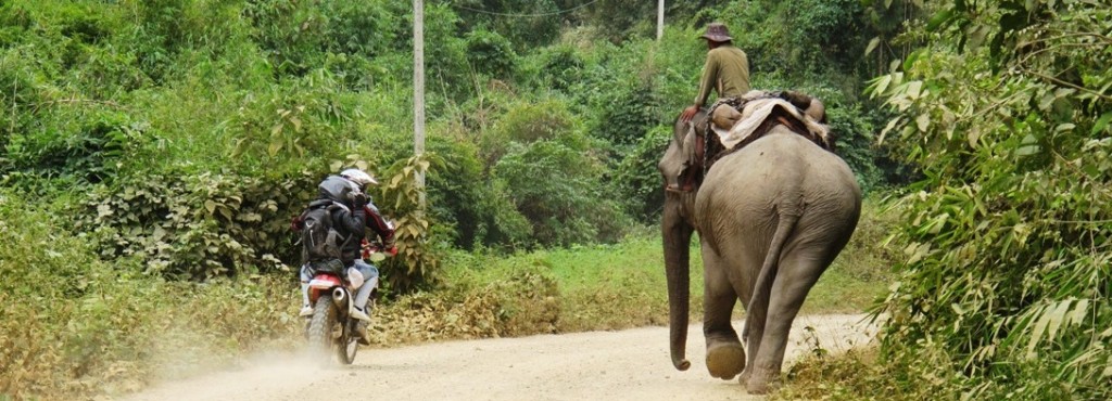 Elephant Laos Motorbike tour 3 days